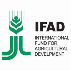 IFAD