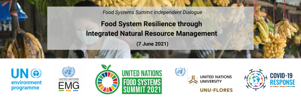 Food System Resilience Nexus Dialogue – UN Environment Management Group