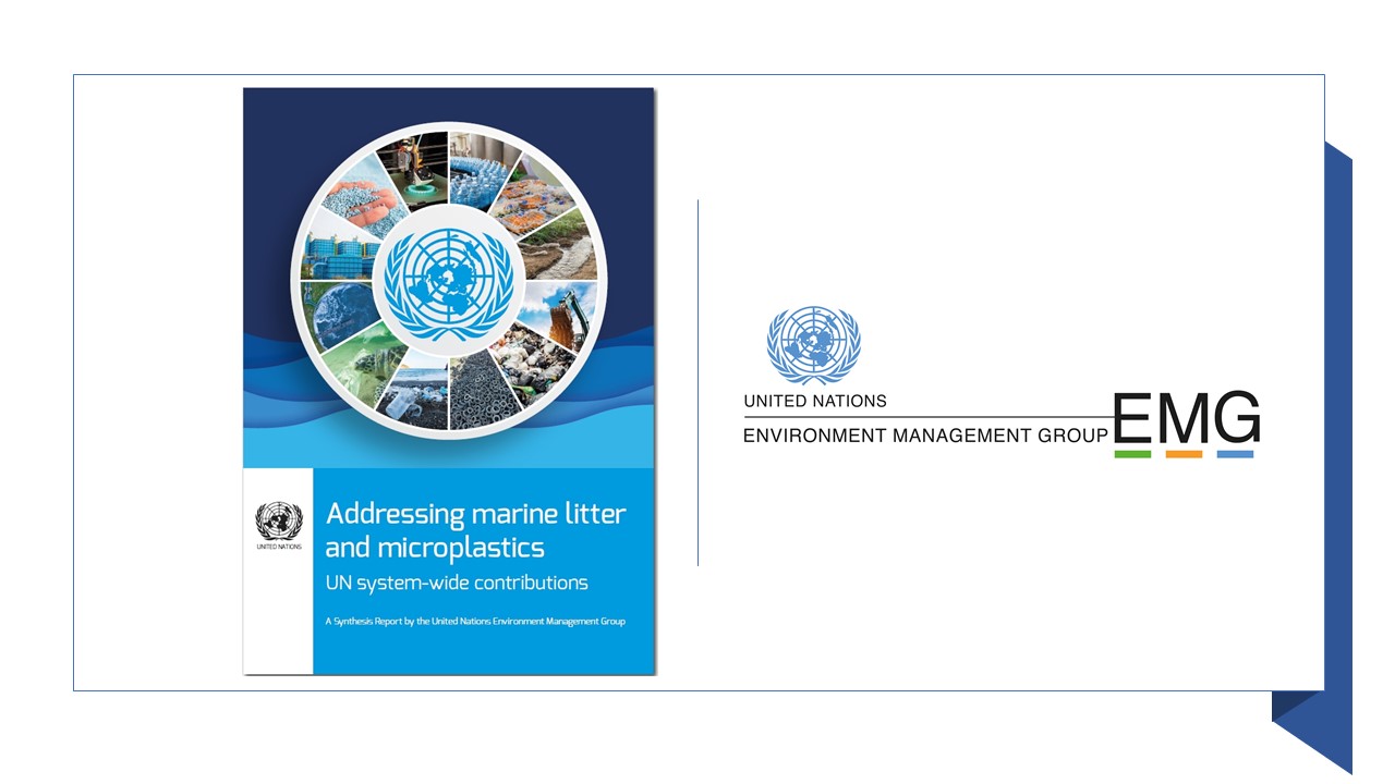  Addressing marine litter and microplastics – UN system-wide contributions