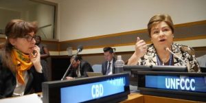 CBD Executive Secretary, Ms Cristiana Pasca-Palmer, listens to UNFCCC Executive Secretary, Ms Patricia Espinosa