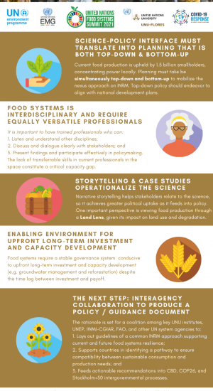 Food Systems Resilience Infographic